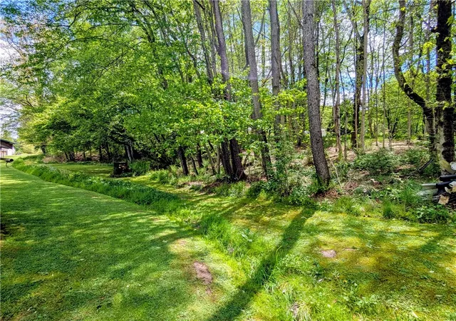 49th image of 235 Ice Mine Rd, Coudersport, PA 16915 | MLS# R1684521
