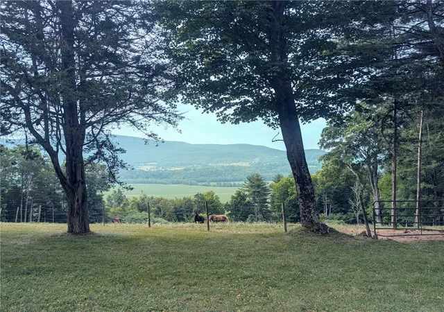 3rd image of 200 Onistagrawa Ln, Middleburgh, NY 12122 | MLS# R1687303
