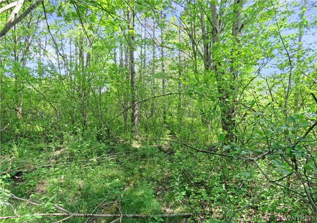44th image of 706 Jewett Holmwood Rd, East Aurora, NY 14052 | MLS# B1688326