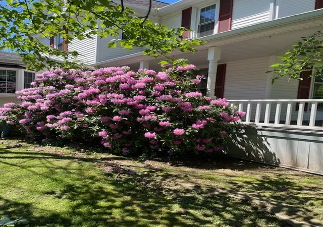 Homes for sale in Carlton, NY | 1986 Main St, Carlton, NY 14571 | MLS# R1688612