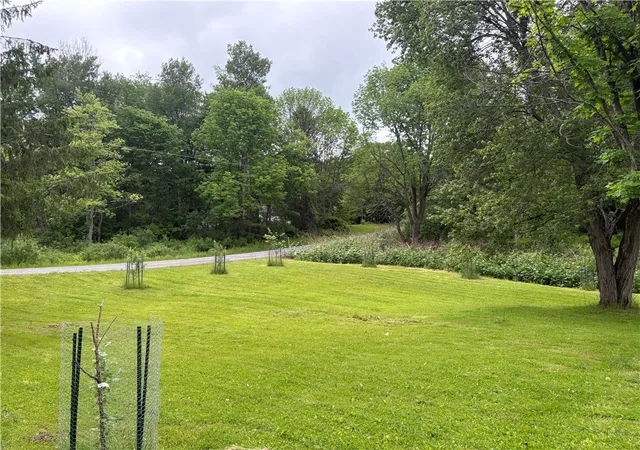 3rd image of 172 Brookins Rd, North Norwich, NY 13464 | MLS# R1688457