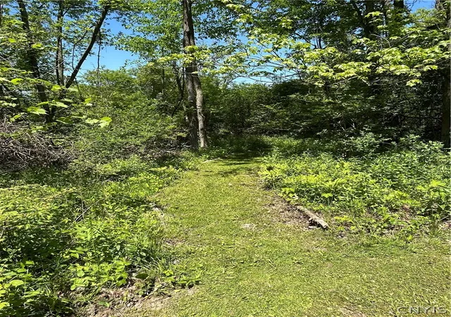 16th image of 5003 Hamilton Rd, Elbridge, NY 13060 | MLS# S1688560