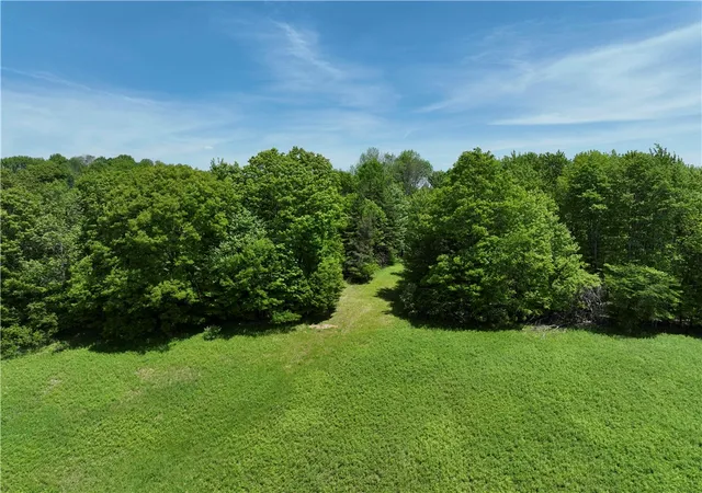 46th image of 3090 County Hwy 4, Butternuts, NY 13843 | MLS# R1688629