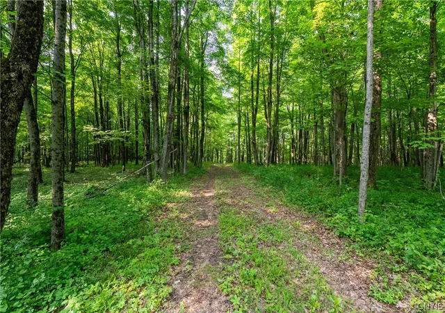 Homes for sale in Sandy Creek, NY | Cummings Rd, Sandy Creek, NY 13083 | MLS# S1688969