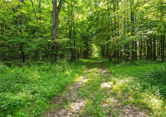 Homes for sale in Sandy Creek, NY | Cummings Rd, Sandy Creek, NY 13083 | MLS# S1688969