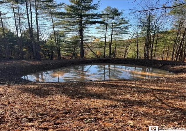 Homes for sale in Wirt, NY | Co Rd 8, Wirt, NY 14739 | MLS# R1689041