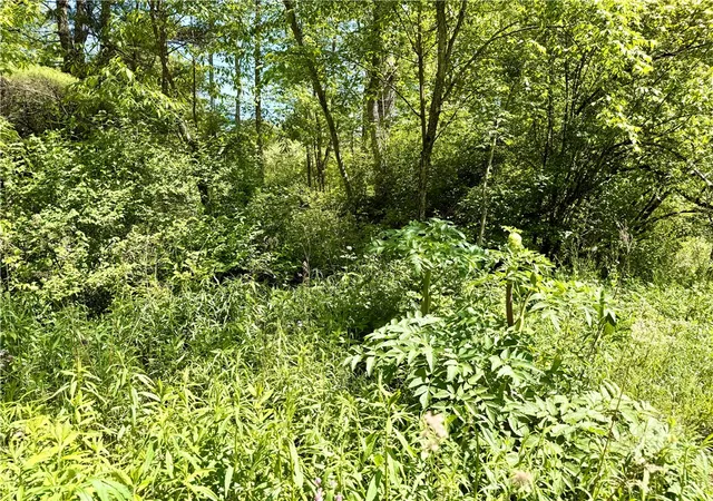 10th image of Copes Corners Rd, Butternuts, NY 13776 | MLS# R1688686