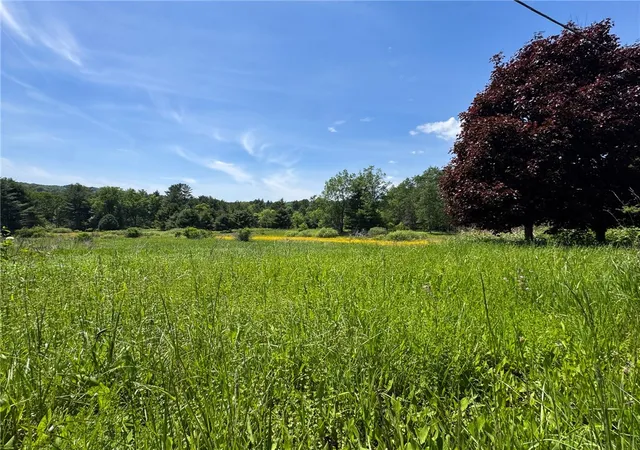 4th image of Copes Corners Rd, Butternuts, NY 13776 | MLS# R1688686