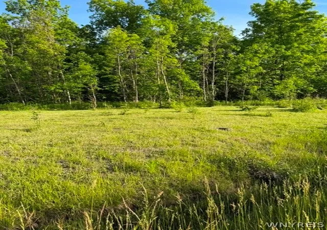 Homes for sale in Hamburg, NY | Lake Shore Rd N, Hamburg, NY 14075 | MLS# B1689370
