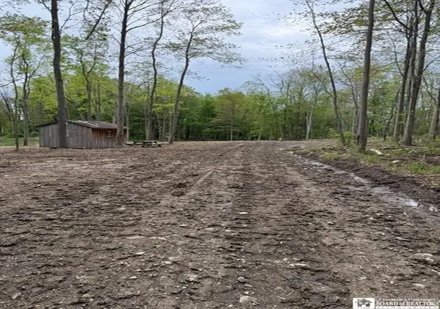 2nd image of 4371 Lawson Rd, Busti, NY 14701 | MLS# R1689501
