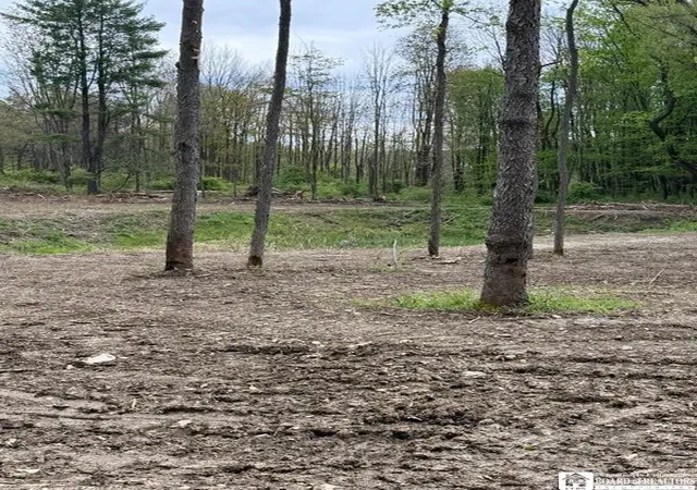 4th image of 4371 Lawson Rd, Busti, NY 14701 | MLS# R1689501