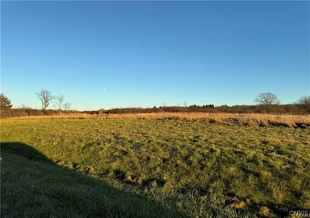 Homes for sale in Alexandria, NY | Swan Hollow Rd & Nys Rt 12, Alexandria, NY 13607 | MLS# S1656230