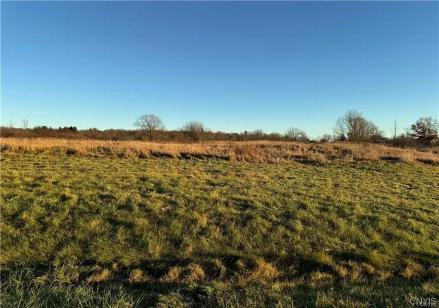 Homes for sale in Alexandria, NY | Swan Hollow Rd & Nys Rt 12, Alexandria, NY 13607 | MLS# S1656230