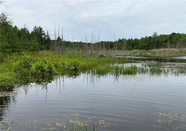 Photo 3 of Land for sale at 00 County Route 35, Potsdam, NY 13676 | MLS# S1689652 | Listing updated on 2026-07-08
