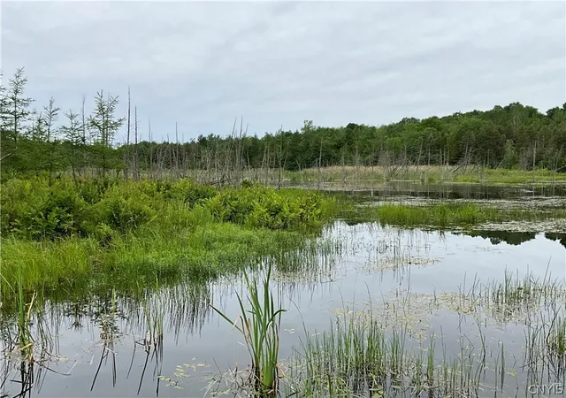 Photo 4 of Land for sale at 00 County Route 35, Potsdam, NY 13676 | MLS# S1689652 | Listing updated on 2026-07-08