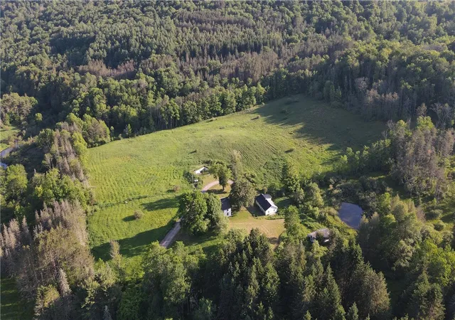 49th image of 121 Palmer, Jefferson, NY 12093 | MLS# R1688844