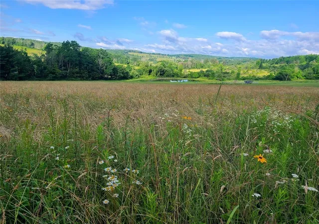 1st image of 10815 Church Creek Rd, Lindley, NY 14858 | MLS# R1688732