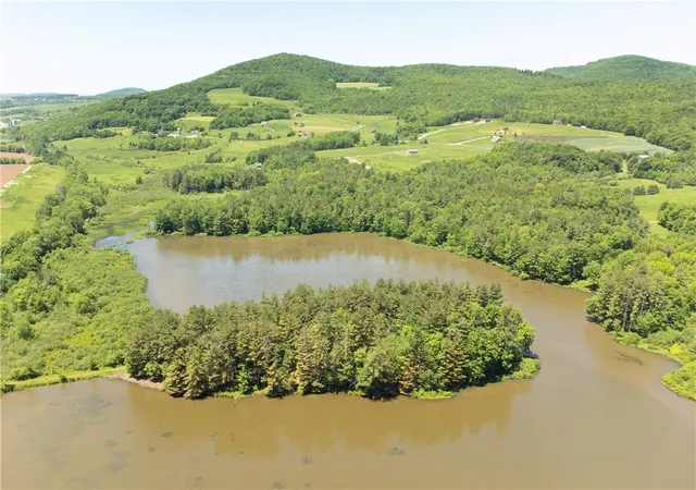 Homes for sale in Gilboa, NY | 125 Mayhem Pond Dr, Gilboa, NY 12167 | MLS# R1689692