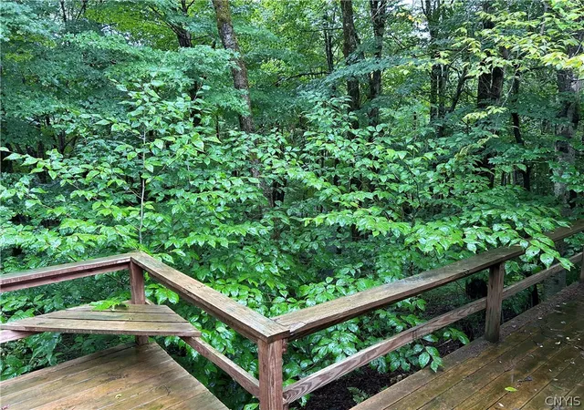 Photo 4 of Land for sale at 28401 Waite Rd, Lorraine, NY 13659 | MLS# S1689727 | Listing updated on 2026-08-03