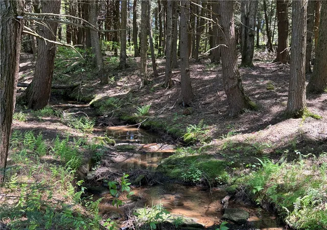 Homes for sale in Hamlin, PA | 67 Mill Water Rd, Hamlin, PA 16735 | MLS# R1688430