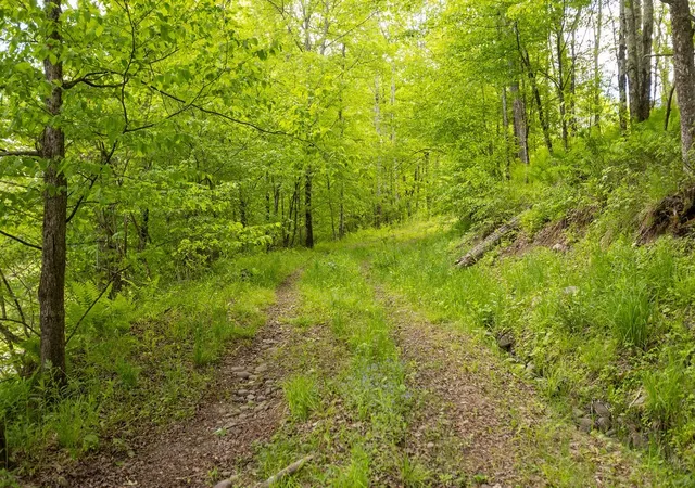 Photo 22 of Sale Pending at 1361 Weaver Holw Rd, Margaretville, NY 12455 | MLS# R1689163 | Listing updated on 2026-08-04