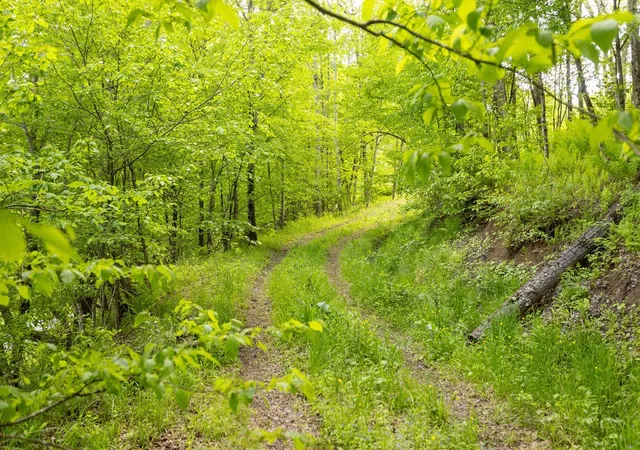 Photo 4 of Sale Pending at 1361 Weaver Holw Rd, Margaretville, NY 12455 | MLS# R1689163 | Listing updated on 2026-08-04