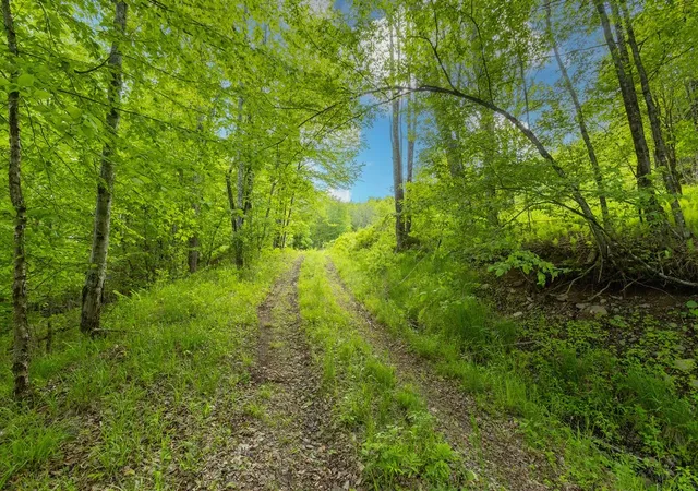 Photo 5 of Sale Pending at 1361 Weaver Holw Rd, Margaretville, NY 12455 | MLS# R1689163 | Listing updated on 2026-08-04