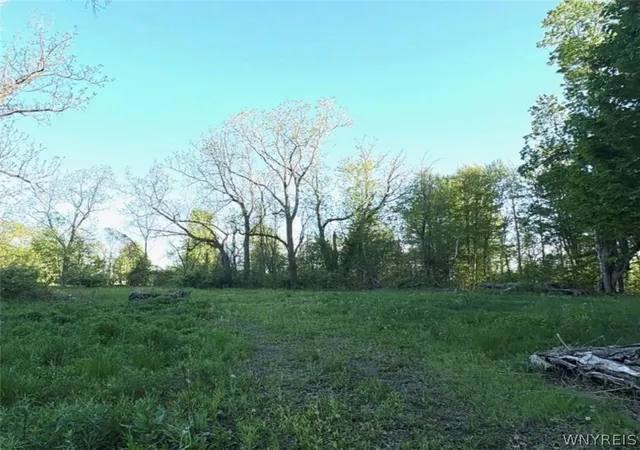 Photo 3 of Land for sale at 1441 Sturgeon Point Rd, Derby, NY 14047 | MLS# B1689792 | Listing updated on 2026-06-11