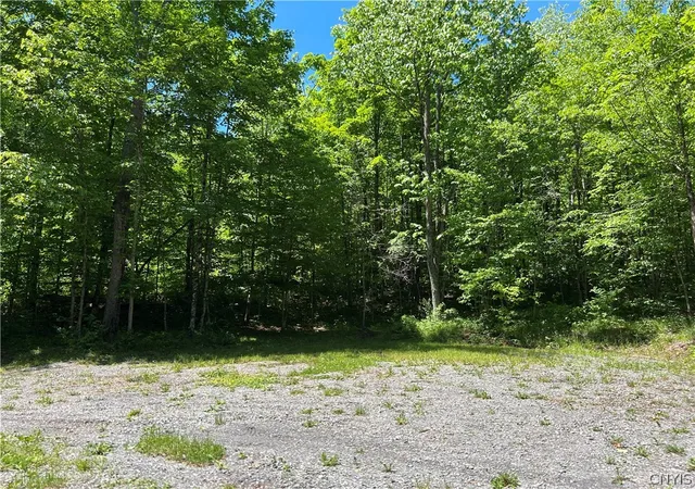 Homes for sale in Greig, NY | 7702 Hiawatha Lake Rd, Greig, NY 13343 | MLS# S1689628