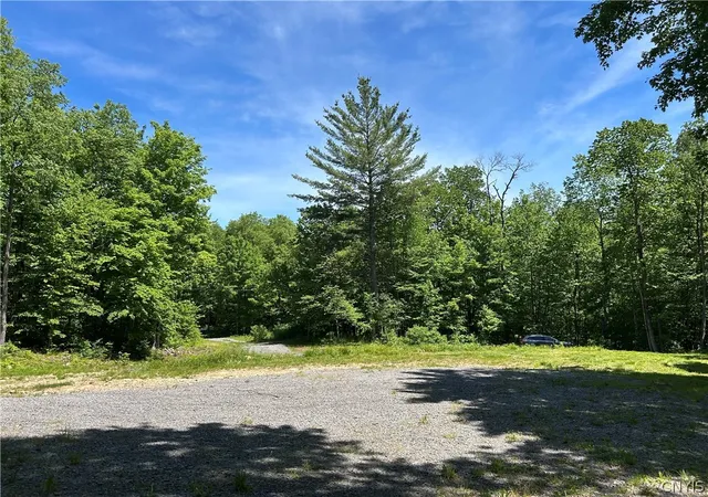 Homes for sale in Greig, NY | 7702 Hiawatha Lake Rd, Greig, NY 13343 | MLS# S1689628