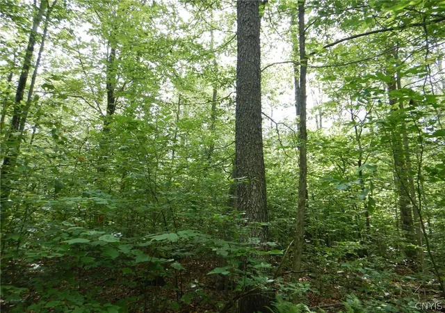 Homes for sale in Newfield, NY | Bull Hill Rd, Newfield, NY 14867 | MLS# S1689764