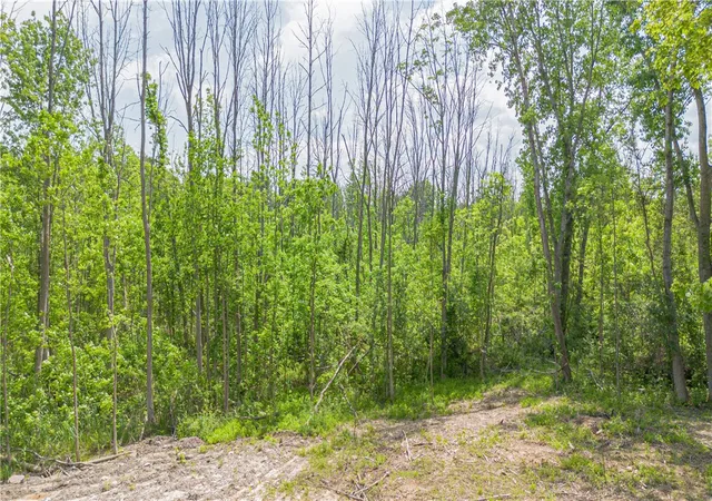 Homes for sale in Perinton, NY | Whitney Rd E, Perinton, NY 14450 | MLS# R1689042