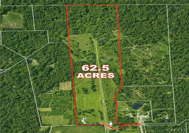 Homes for sale in Nelson, NY | 4071 Argos Rd, Nelson, NY 13035 | MLS# S1688308