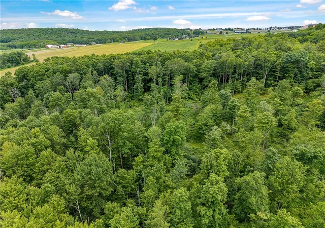 10th image of 2868 Townsend Rd, Watkins Glen, NY 14891 | MLS# R1690273