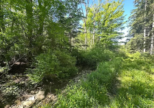 Homes for sale in Allen, NY | Townline Rd, Allen, NY 14709 | MLS# S1690293