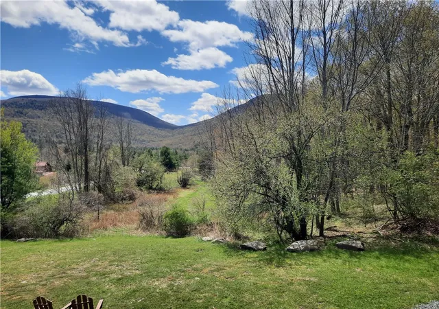 Homes for sale in Lexington, NY | 295 Tumbleweed Ranch Rd, Lexington, NY 12452 | MLS# R1690217