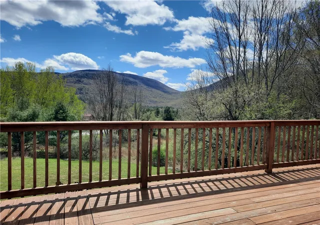 Homes for sale in Lexington, NY | 295 Tumbleweed Ranch Rd, Lexington, NY 12452 | MLS# R1690217