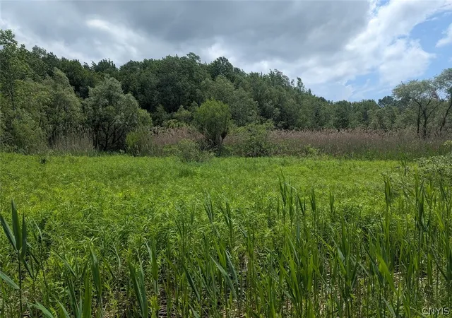 Photo 1 of Land for sale at 0 Tannery Rd, Rome, NY 13440 | MLS# S1690198 | Listing updated on 2026-06-13