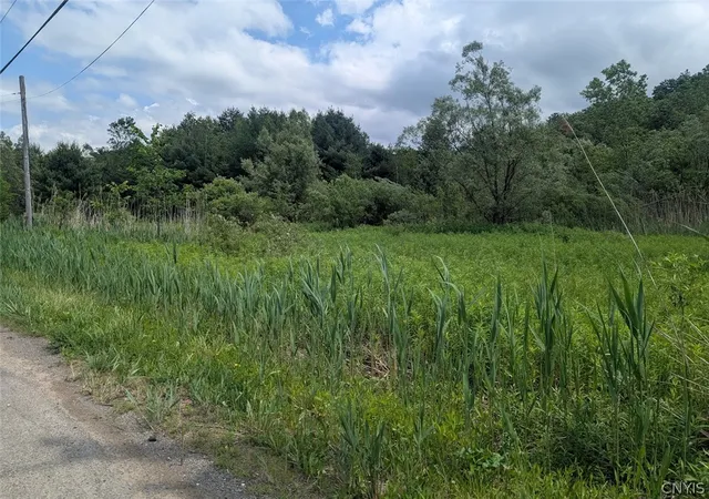 Photo 3 of Land for sale at 0 Tannery Rd, Rome, NY 13440 | MLS# S1690198 | Listing updated on 2026-06-13