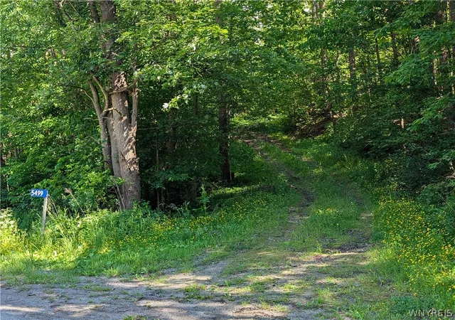 Homes for sale in Ellicottville, NY | 5499 Bryant Hill Rd, Ellicottville, NY 14731 | MLS# B1689739