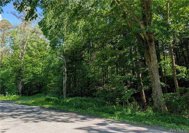 Homes for sale in Ellicottville, NY | 5499 Bryant Hill Rd, Ellicottville, NY 14731 | MLS# B1689739
