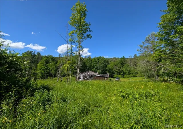 Homes for sale in Ellicottville, NY | 5499 Bryant Hill Rd, Ellicottville, NY 14731 | MLS# B1689739