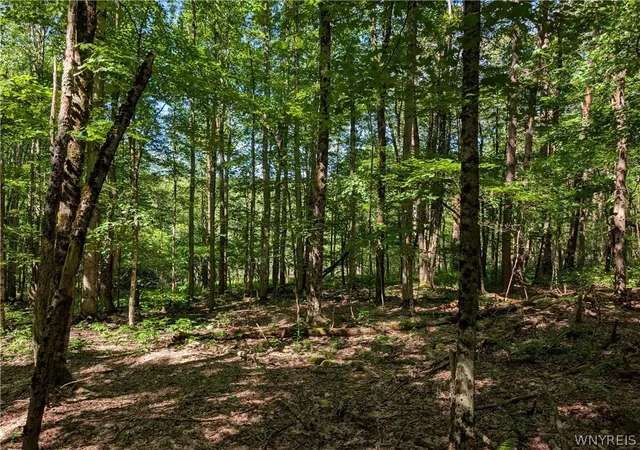 Homes for sale in Ellicottville, NY | 5499 Bryant Hill Rd, Ellicottville, NY 14731 | MLS# B1689739