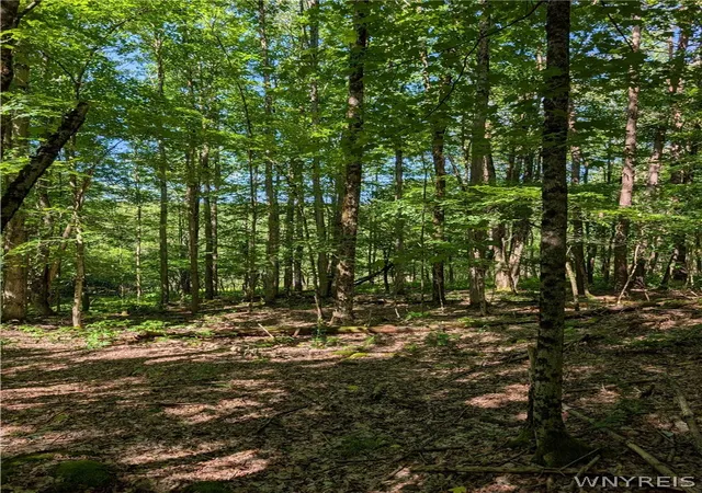 Homes for sale in Ellicottville, NY | 5499 Bryant Hill Rd, Ellicottville, NY 14731 | MLS# B1689739