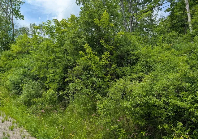 Land for sale at Lake Lorraine Ln, Norwich, NY 13815 | MLS# R1690035