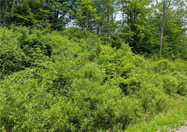 Photo 3 of Land for sale at Lake Lorraine Ln, Norwich, NY 13815 | MLS# R1690035 | Listing updated on 2026-06-15