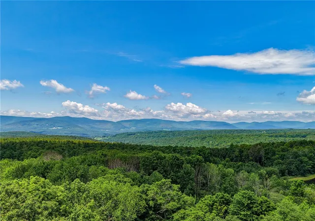 Homes for sale in Prattsville, NY | 144 Sant Tompkins Rd, Prattsville, NY 12468 | MLS# R1690433