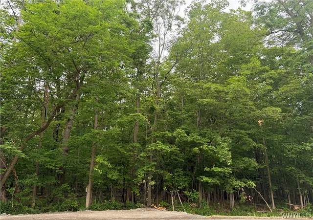 4th image of 1823 Center St, East Aurora, NY 14052 | MLS# B1690075