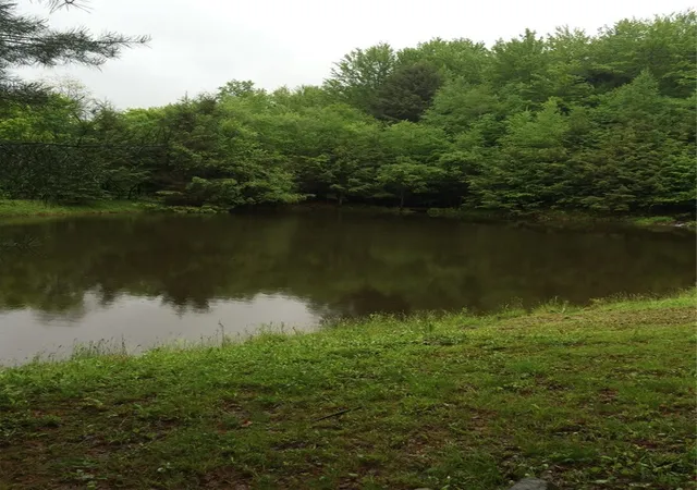 45th image of 795 County Road 27, Oxford, NY 13733 | MLS# R1689725