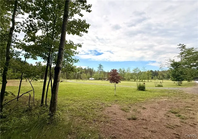 Homes for sale in Watson, NY | 7510 N Chases Lake Rd, Watson, NY 13343 | MLS# S1690491